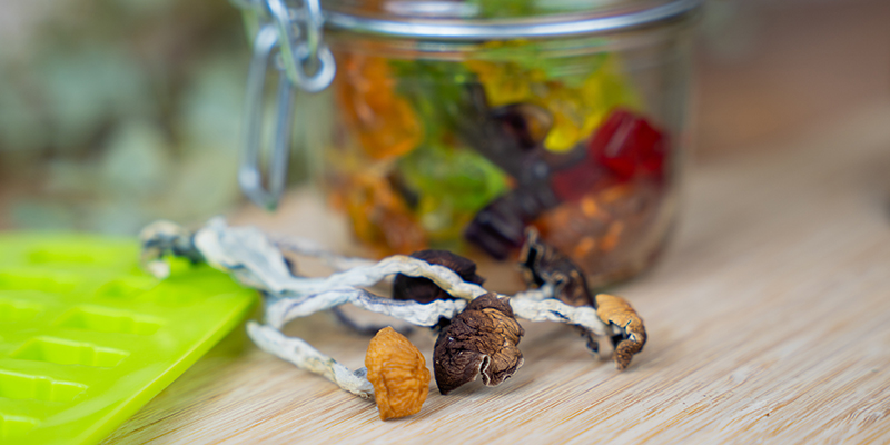 HEMPEARTH- Magic Mushroom Edibles Are Rising In Popularity. 3 How to store your psilocybin gummies long term