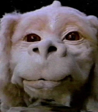 HEMPEARTH - Falcor Mushroom "NEW" 2 HEMPEARTH - Falcor Mushroom "NEW" - Image 2