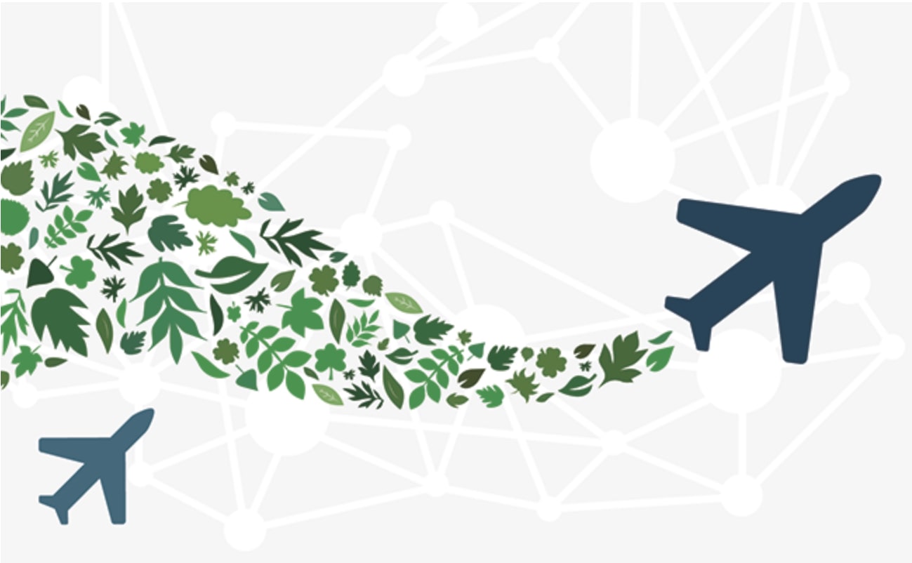 HEMPEARTH - Building the Future of Aviation — One Hemp Plane at a Time 5 64b15b958fcef6001de56b63 1